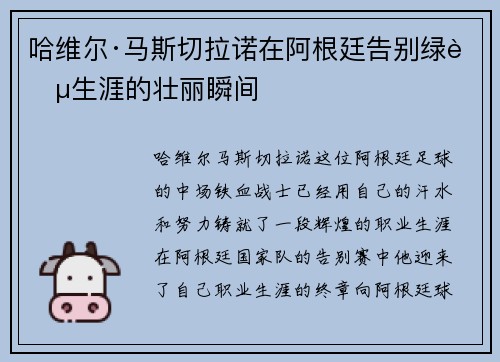 哈维尔·马斯切拉诺在阿根廷告别绿茵生涯的壮丽瞬间